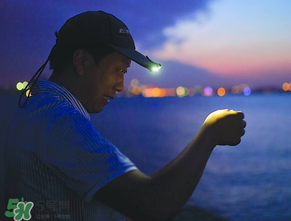 春分能夜釣嗎？春分能釣鯉魚嗎？