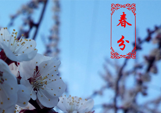 春菜為什么會苦？春菜發(fā)苦能吃嗎？