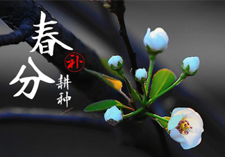春分吃春菜有什么好處？春菜有什么營(yíng)養(yǎng)價(jià)值？