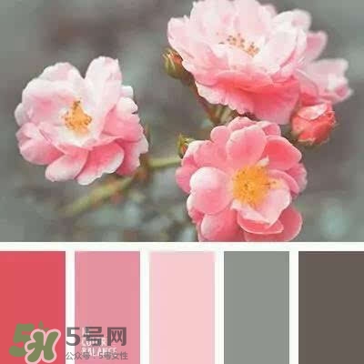 粉色口紅哪個(gè)牌子好？粉色口紅推薦