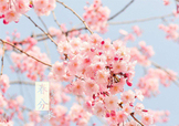 春分吃什么？春分吃什么會更加健康？