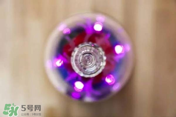 camino美女與野獸音響多少錢？camino玫瑰藍牙音箱價格