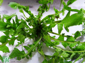 春天吃薺菜好嗎？春天吃薺菜有什么好處？