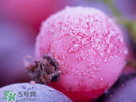 藍(lán)莓變紅可以吃嗎？藍(lán)莓發(fā)紅是壞掉了嘛？