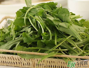 薺菜有毒嗎？吃薺菜會(huì)中毒嗎？