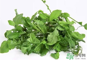 薺菜有毒嗎？吃薺菜會(huì)中毒嗎？