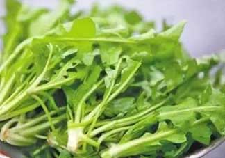 便秘能吃薺菜嗎？便秘可以吃薺菜嗎？