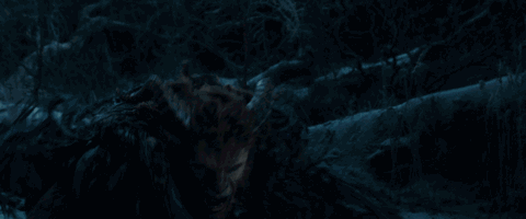 野獸派美女與野獸水晶球多少錢？野獸派音樂水晶球價格