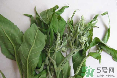 艾草可以泡腳嗎？艾葉泡腳的功效與作用