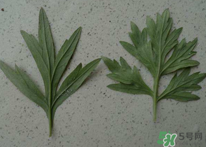 ?蒿子怎么去除苦味？?蒿子粑粑苦是什么原因？
