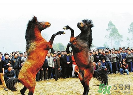 三月三有什么禁忌？三月三有什么講究？