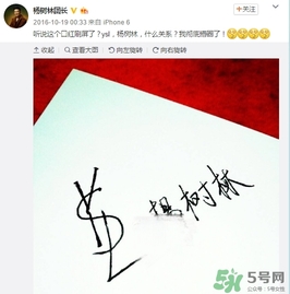 楊樹林口紅是什么牌子？楊樹林口紅是哪個國家的？