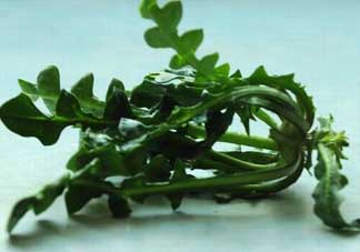 乙肝能吃薺菜嗎？乙肝病人可以吃薺菜嗎？