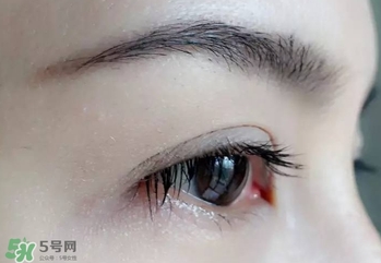 serge lutens蘆丹氏睫毛膏怎么樣？蘆丹氏睫毛膏好不好用？