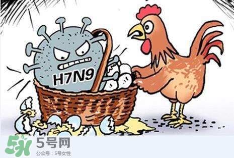 怎樣預(yù)防禽流感？如何預(yù)防禽流感
