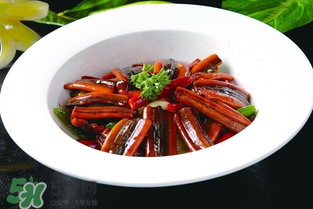 黃鱔是什么？黃鱔是魚嗎？