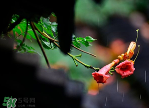 2017年梅雨季節(jié)是幾月？2017年梅雨季節(jié)是什么時候？