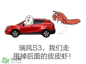 黃鱔為什么火了？黃鱔我們走為什么火了？