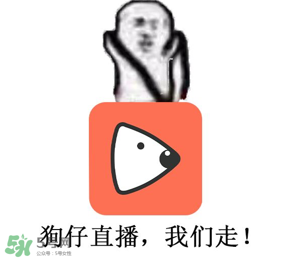 黃鱔為什么火了？黃鱔我們走為什么火了？