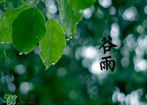 2017年谷雨是幾月幾號？2017年谷雨是哪一天？