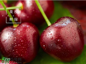 美早櫻桃多少錢一斤？美早櫻桃多少錢一斤2017？