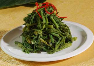 蕨菜什么人不能吃？哪些人不能吃蕨菜？