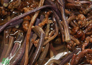 蕨菜能吃嗎？蕨菜可以吃嗎？
