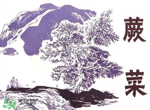 吃蕨菜會過敏嗎？皮膚過敏能吃蕨菜嗎？