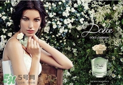 dolce gabanna香水哪款好聞？DG杜嘉班納香水推薦
