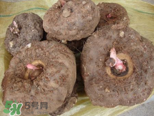 魔芋什么味道？怎么去除魔芋味道？