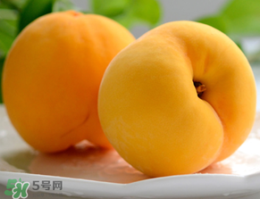 黃桃為什么那么貴？黃桃為什么這么貴？
