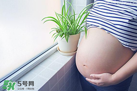 孕婦可以做美甲嗎？美甲對(duì)孕婦有什么影響？