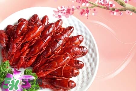 吃小龍蝦喝什么飲料？小龍蝦配什么飲料最好？