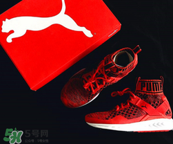 puma襪子鞋尺碼怎么選？彪馬襪套鞋尺碼對照表