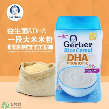 嘉寶DHA米粉會(huì)過(guò)敏嗎？嘉寶dha米糊會(huì)過(guò)敏嗎？