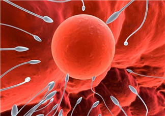 捐20顆卵子會(huì)怎么樣？捐20顆卵子有什么后果？