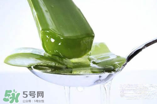 黃瓜水和蘆薈水哪個(gè)好？黃瓜水和蘆薈水功效區(qū)別