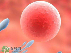 捐20顆卵子會怎么樣？捐20顆卵子有什么后果？