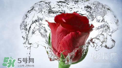 黃瓜水和玫瑰水哪個好？黃瓜水和玫瑰水區(qū)別