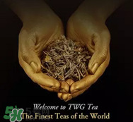 twg茶哪個最經(jīng)典？twg茶葉哪個好喝？