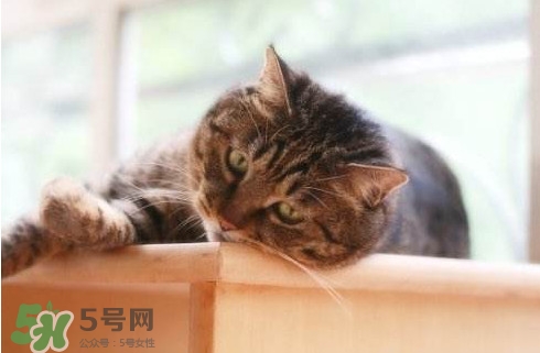為什么身體總是覺(jué)得累？總是覺(jué)得累是怎么回事