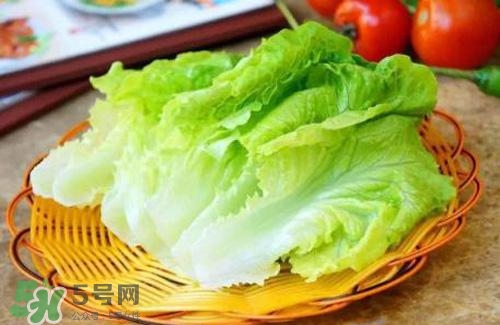 生菜可以放冰箱嗎？生菜可以放冰箱多久？