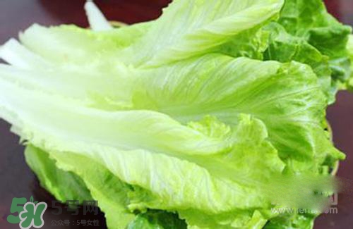 生菜可以放冰箱嗎？生菜可以放冰箱多久？