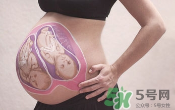 妊娠線看可以看胎兒性別嗎？妊娠線看可以男女嗎？