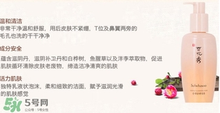 雪花秀順行洗面奶適合什么皮膚？雪花秀順行洗面奶適合膚質？