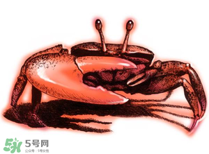 五月份可以吃螃蟹嗎？5月份可以吃螃蟹嗎？
