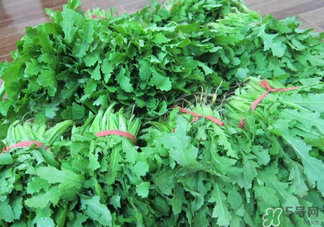 罌粟苗能當(dāng)菜吃嗎？罌粟苗可以當(dāng)菜吃嗎？