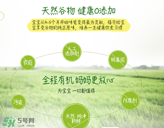 禧貝米粉二段味道怎么樣？禧貝米粉二段味道如何？