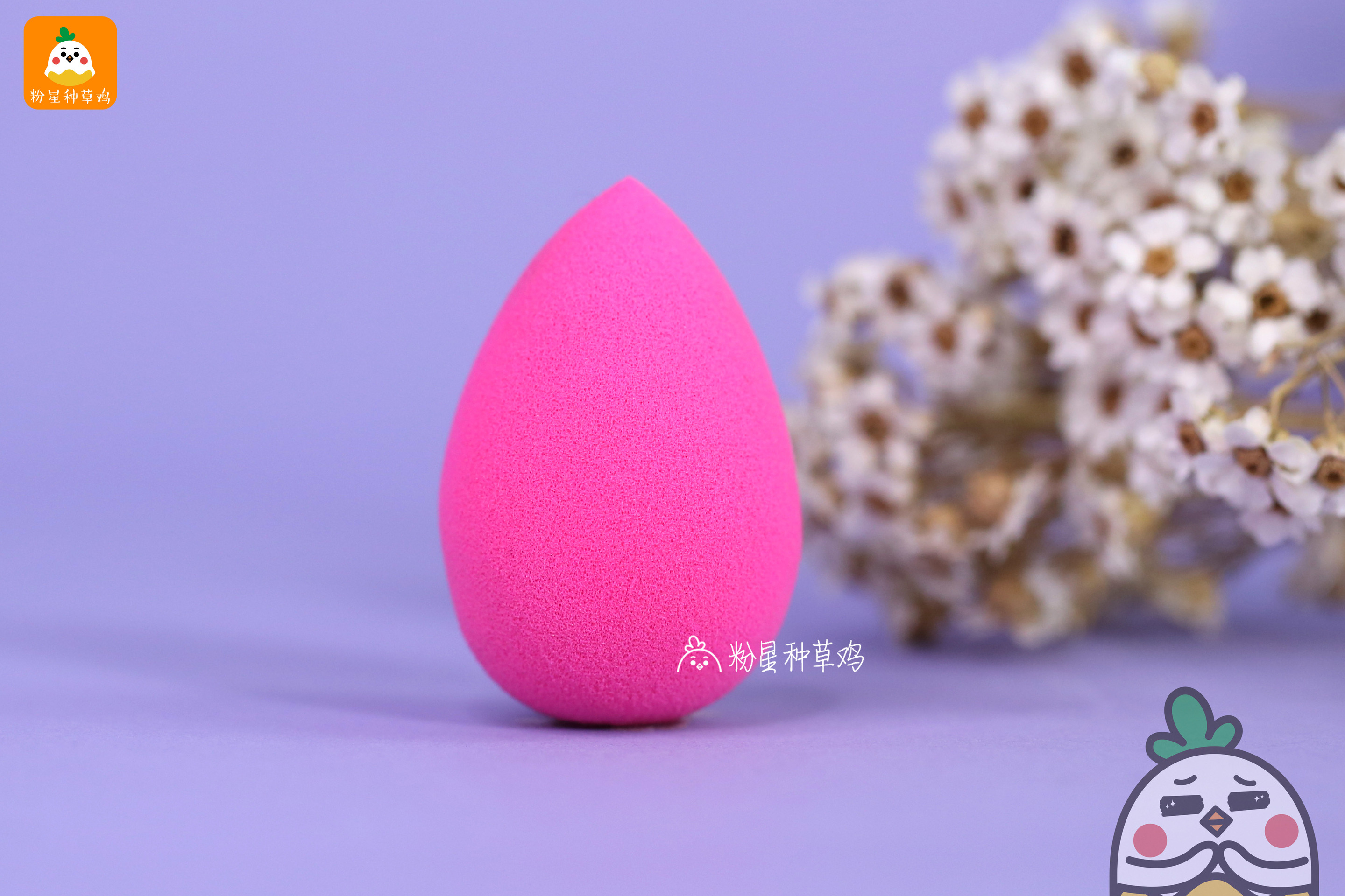 beauty blender美妝蛋和rt美妝蛋哪個(gè)好？