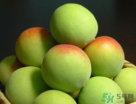 青梅什么時(shí)候成熟？青梅幾月份成熟？
